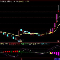 主力动能主图+副图+无未来函数