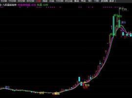 九极量能趋势王副图+选