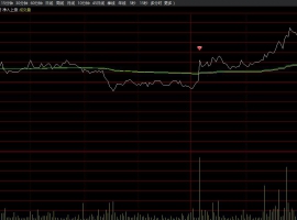 净入上涨分时主图