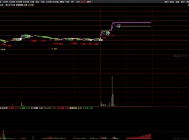顺势掘金分时主图+副图