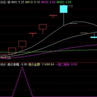 竞价一进二副图