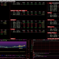 通达信金甲量化竞价系统9.99，有单独指标源码！